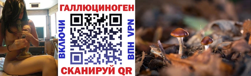 Псилоцибиновые грибы мицелий  Сердобск 